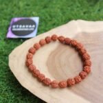 Rudraksha